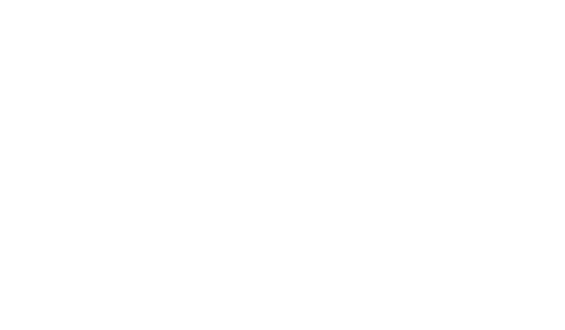 Logo Satys